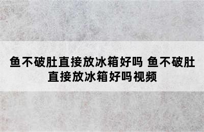 鱼不破肚直接放冰箱好吗 鱼不破肚直接放冰箱好吗视频